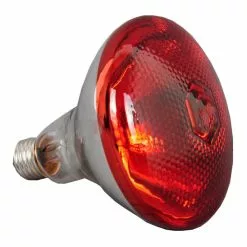 Commercial Food Warmer 5 Heating Lamps | Adexa WL1375 -Cooking Appliances Sales Store WL bulb 1200x1200 3